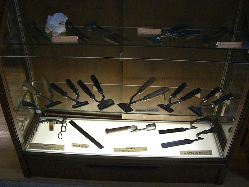 CIMG2970.JPG