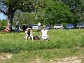 CIMG2675