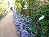 P1010234
