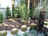 P1010254