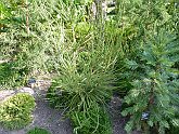 P1010272