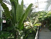 P1010282