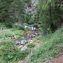 IMG_0311