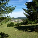 P1030309