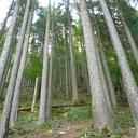 P1030311