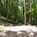 P1030344