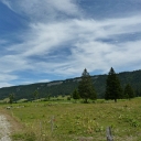 P1030354