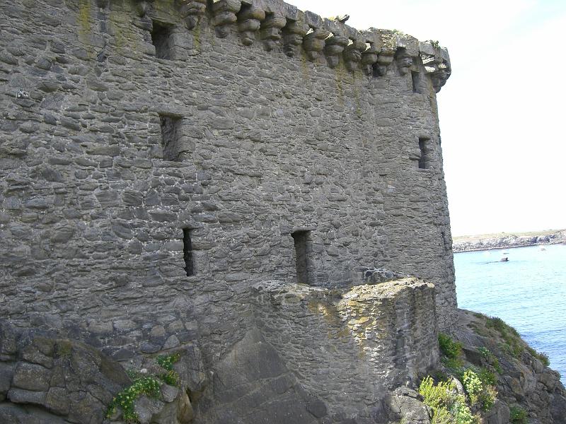 CIMG4370.JPG