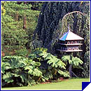Le jardin des plantse de Nantes